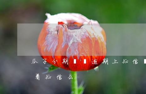 瓜子分期買車逾期上征信嗎-瓜子分期買車看征信么