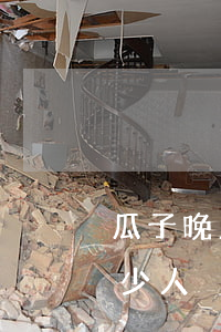 瓜子晚上還款算逾期嗎(瓜子車貸逾期的有多少人)