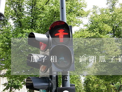 瓜子租賃車逾期(瓜子逾期收車嗎)