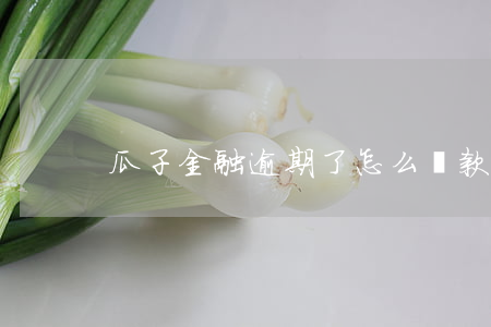 瓜子金融逾期了怎么還款(瓜子提前還款)