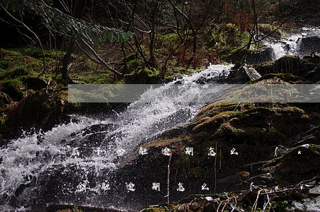 瓜子金融逾期怎么協(xié)商還款(瓜子金融逾期怎么協(xié)商還款)