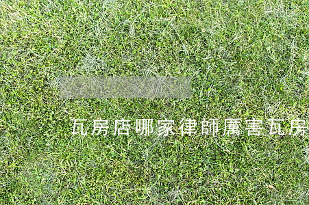 瓦房店哪家律師厲害(瓦房店市律師在線咨詢)