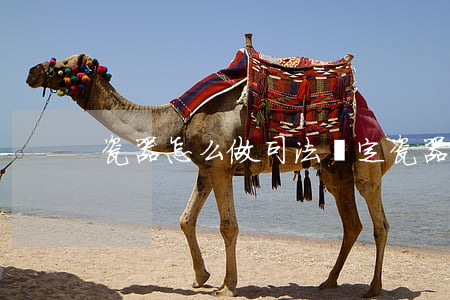 瓷器怎么做司法鑒定(瓷器鑒定儀器)
