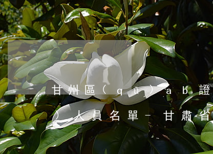 甘州區(qū)ab證逾期未審驗(yàn)人員名單-甘肅省b證查詢(xún)