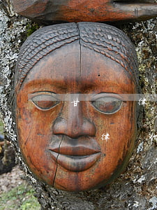 甘煥嬌律師代理過(guò)哪些案例(甘煥嬌律師代理過(guò)哪些案例)