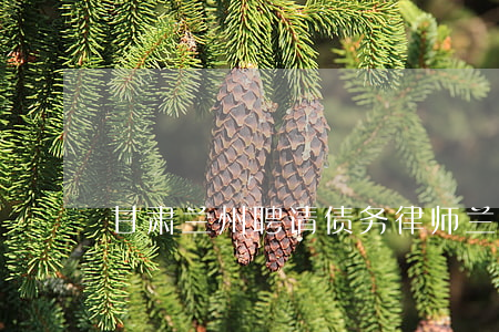 甘肃兰州聘请债务律师(兰州找律师)