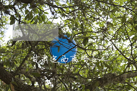 甘肃定西离婚女人