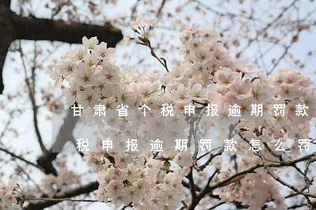 甘肃省个税申报逾期罚款怎么罚-甘肃省个税申报逾期罚款怎么罚的