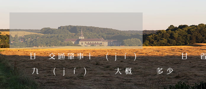 甘肅交通肇事十級(jí)傷殘賠償(甘肅省九級(jí)傷殘大概賠償多少錢)