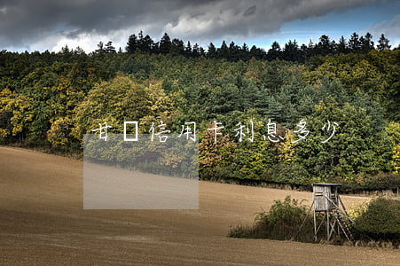 甘肅信用卡利息多少