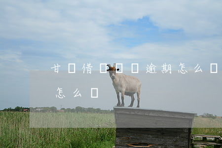甘肅借唄負債逾期怎么辦(借唄逾期被起訴了怎么辦?)