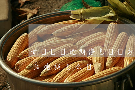 甘肅債務逾期停息掛賬方式有哪些(停息掛賬后逾期怎么辦)