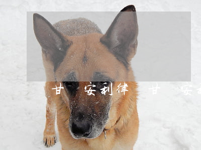 甘肅安利律師(甘肅安利律師)