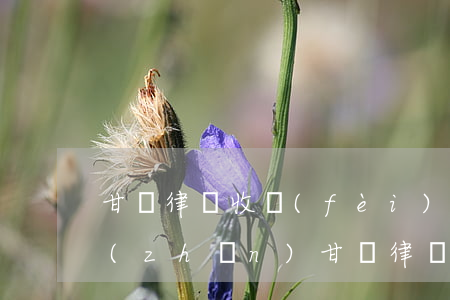 甘肅律師收費(fèi)標(biāo)準(zhǔn)(甘肅律師收費(fèi)標(biāo)準(zhǔn)2018)
