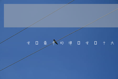 甘肅最牛的律師(甘肅十大著名律師)