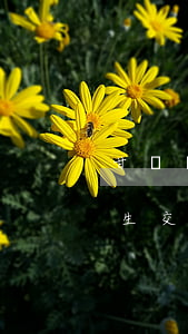 甘肅發(fā)生交通事故(甘肅發(fā)生交通事故6死14傷女)