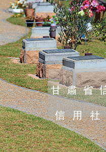 甘肅省信用社信用卡逾期如何處理-甘肅省信用社信用卡逾期如何處理的