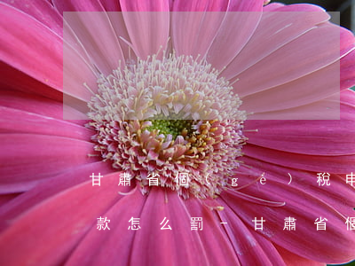 甘肅省個(gè)稅申報(bào)逾期罰款怎么罰-甘肅省個(gè)稅申報(bào)逾期罰款怎么罰的