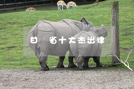 甘肅省十大杰出律師