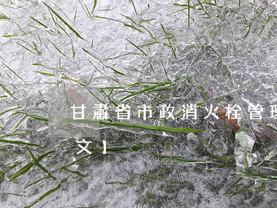 甘肅省市政消火栓管理辦法最新修改版【全文】