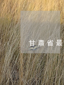 甘肅省最厲害的律師(甘肅十大著名律師)