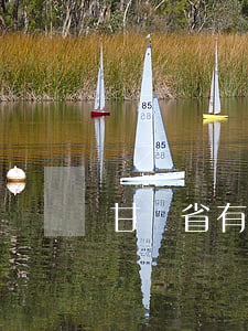 甘肅省有名氣的律師(甘肅省蘭州市最好的律師)
