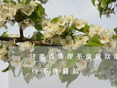甘肅省清理不良貸款還是逾期貸款-甘肅銀行不良貸款