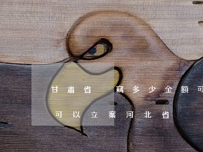 甘肅省盜竊多少金額可以立案(盜竊多少金額可以立案河北省)