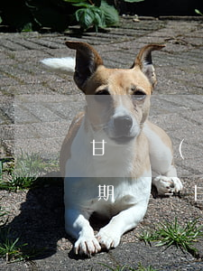 甘肅農(nóng)村信用社信用卡有寬限期嗎-甘肅農(nóng)村信用社信用卡有寬限期嗎多久