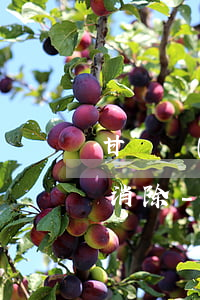 甘肅農(nóng)村信用社逾期記錄怎么消除-甘肅農(nóng)村信用社逾期記錄怎么消除掉