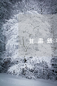 甘肅銀行信用卡逾期多少人