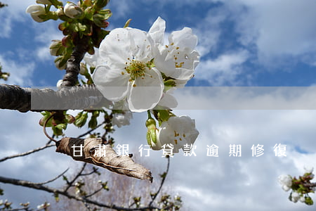 甘肅銀行貸款逾期修復