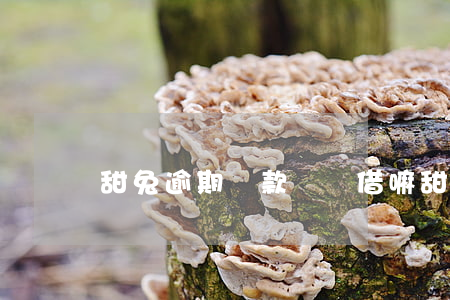 甜兔逾期還款還給借嘛(甜兔借款靠譜嗎)
