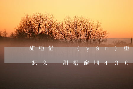 甜橙借錢嚴(yán)重逾期會(huì)怎么樣（甜橙逾期400元會(huì)被起訴嗎）
