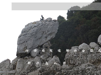 甜橙借钱逾期会全额还款-甜橙借钱严重逾期会怎么样
