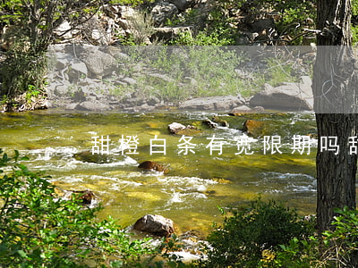 甜橙白条有宽限期吗（甜橙白条逾期10天）
