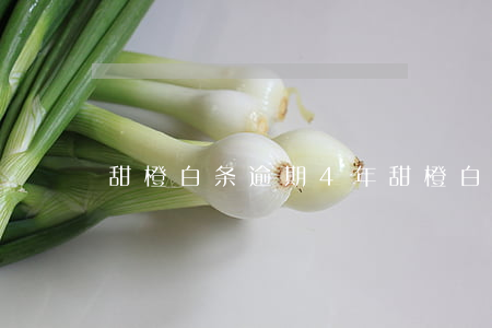 甜橙白条逾期4年(甜橙白条有免息期吗)