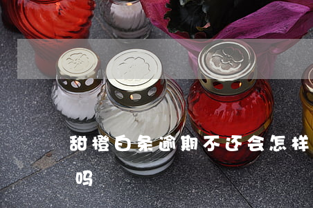 甜橙白条逾期不还会怎样(甜橙白条有宽限期吗)