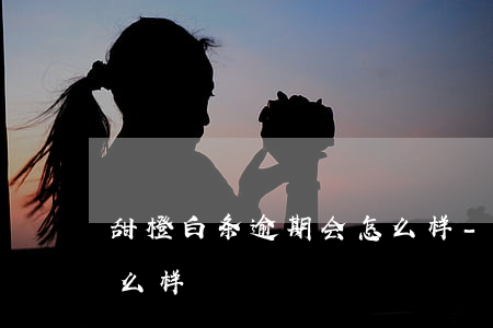 甜橙白条逾期会怎么样-甜橙白条不还会怎么样