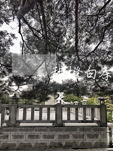 甜橙白条逾期几天不能用了 甜橙借钱逾期一天