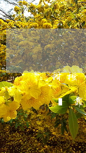 甜橙白條不還會(huì)被起訴嗎(甜橙白條靠譜嗎)