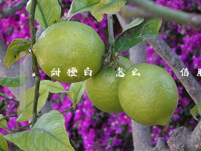 甜橙白條怎么購買信用卡還款卷-
