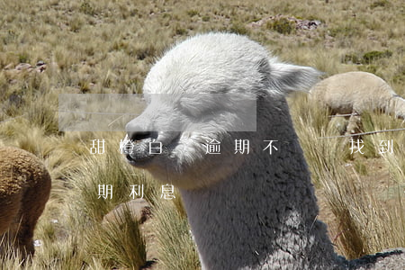 甜橙白條逾期不還,會找到家里嗎（甜橙白條逾期利息）