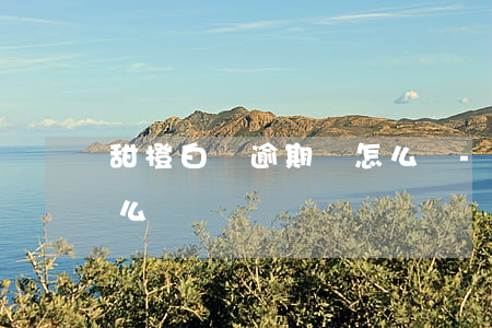 甜橙白條逾期會怎么樣-甜橙白條不還會怎么樣
