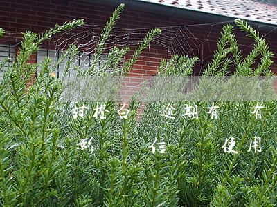 甜橙白條逾期有沒有寬限期-甜橙白條逾期,影響電信寬帶使用嗎