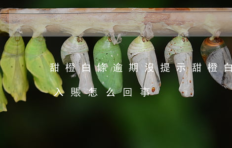 甜橙白條逾期沒提示(甜橙白條還款后顯示未入賬怎么回事)
