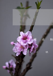 甜橙逾期10个月(甜橙借钱逾期两个月1800块钱说要起诉我)