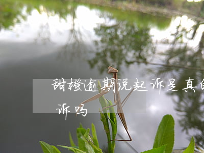 甜橙逾期说起诉是真的吗(橙分期逾期会被起诉吗)
