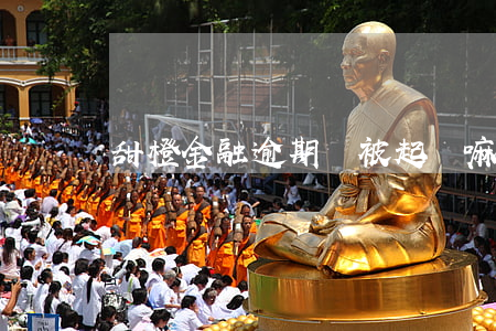 甜橙金融逾期會被起訴嘛(甜橙逾期了五天)