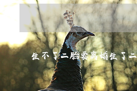 生不了二胎要离婚(生了二胎就很难离婚了)